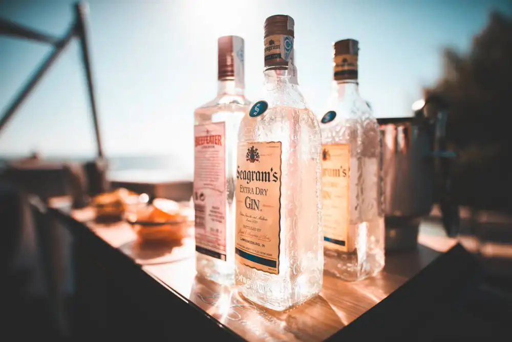 Best Gin in Gurugram