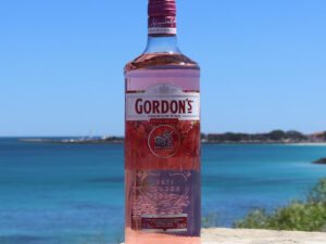 GORDON GIN