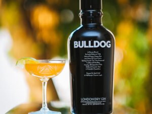 Bull Dog